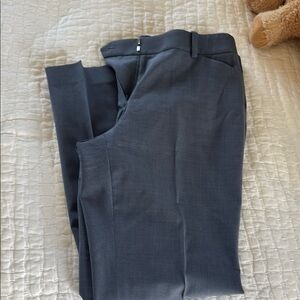 EUC - Theory Grayish Blue Women's Trousers - sz 4